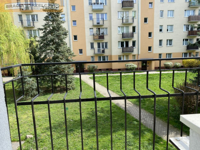 Mieszkanie Wynajem  Ochota Jasielska 28